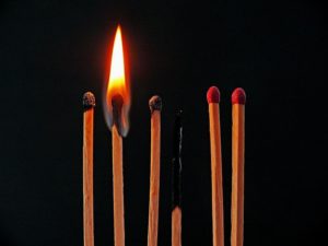 burned out matchsticks